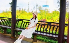 星际之亡灵帝国txt全集下载